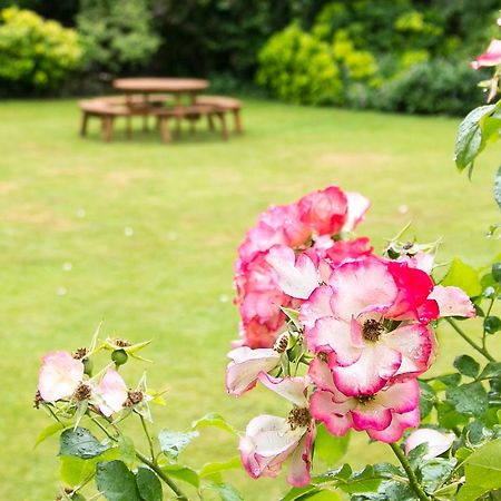 Beechwood Close يورك المظهر الخارجي الصورة