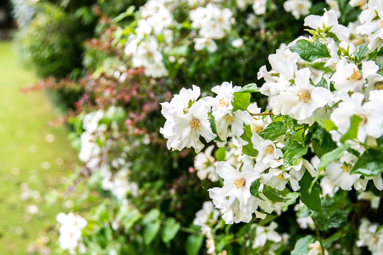 Beechwood Close يورك المظهر الخارجي الصورة
